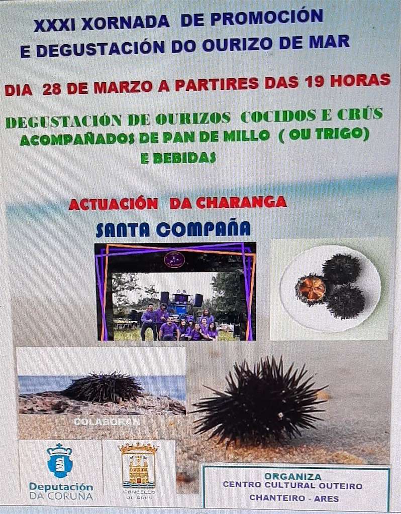 XXXI Festa do Ourizo de Mar de Chanteiro (2024) en Ares