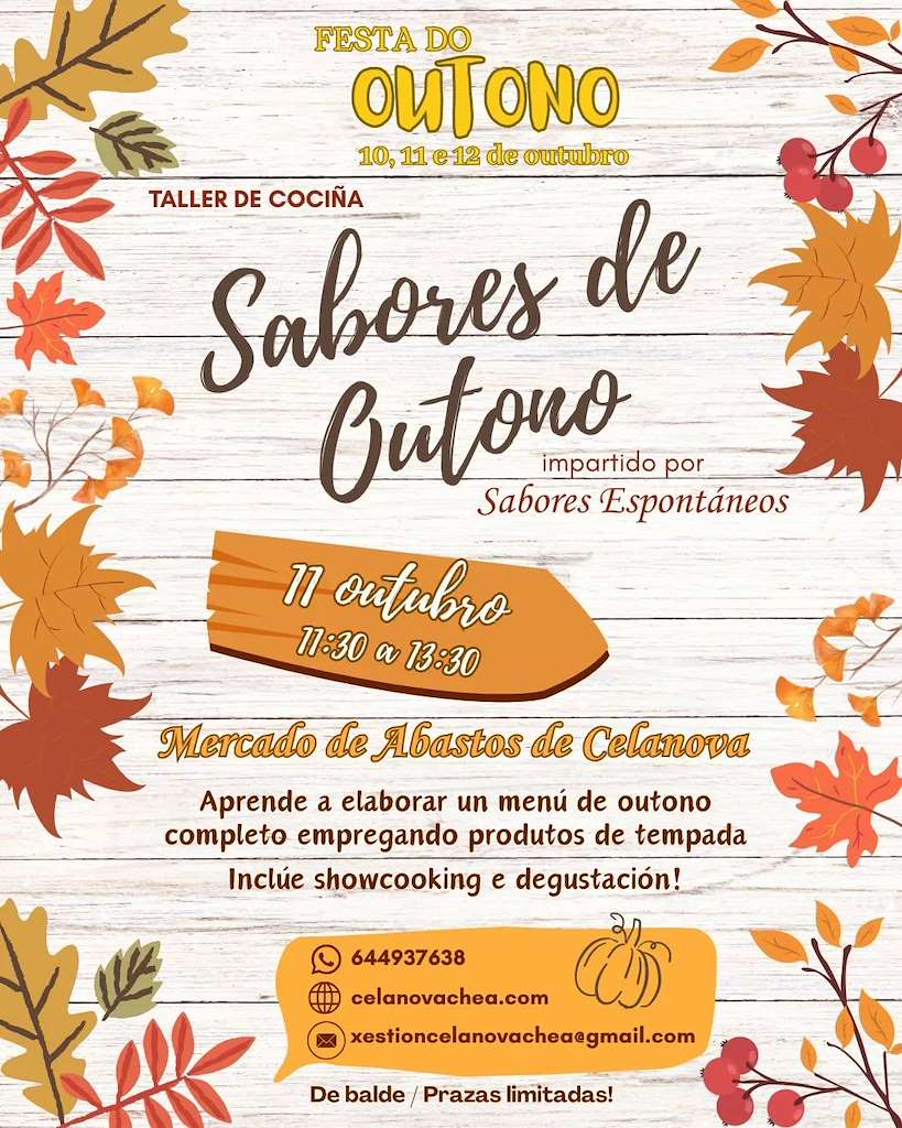 Festa do Outono - XIII Concurso de Pinchos da Miña Terra  (2025) en Celanova