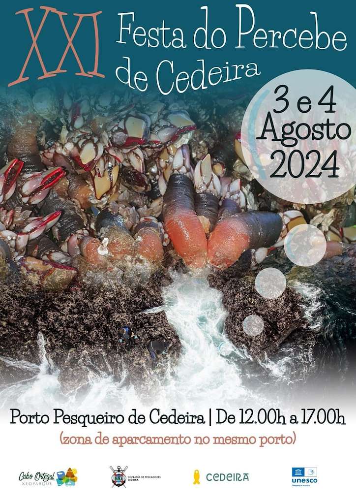 XIX Festa do Percebe en Cedeira