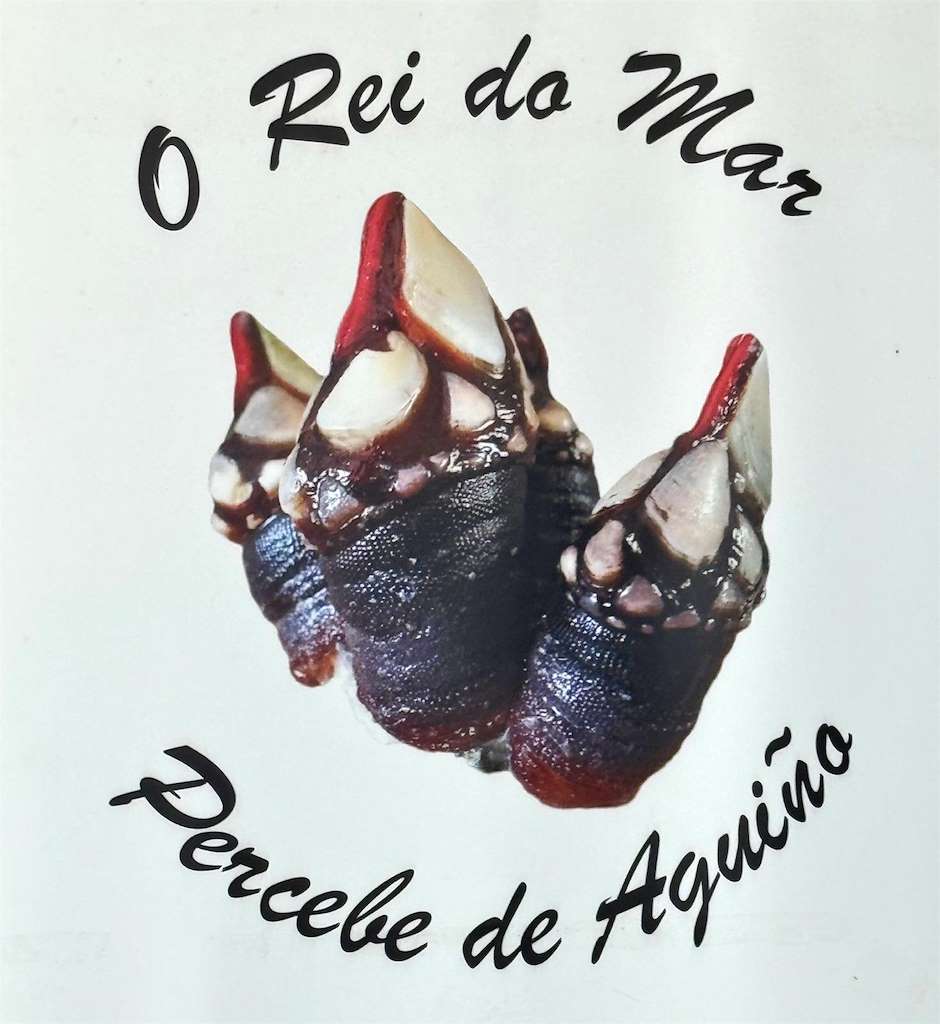 XXVI Festa do Percebe de Aguiño en Ribeira
