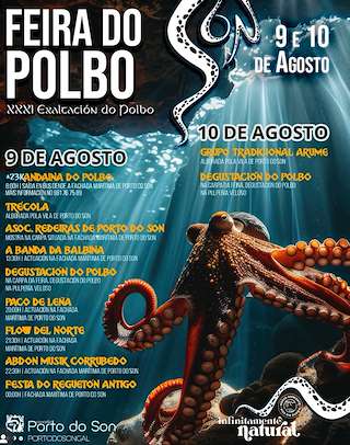 Fechas, información, programa, cartel, imágenes, mapa y ubicación de XXXI Festa do Polbo  en  O Porto do Son