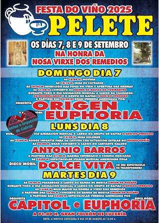 Fechas, información, programa, cartel, imágenes, mapa y ubicación de Festa do Viño do Pelete  en  A Lama