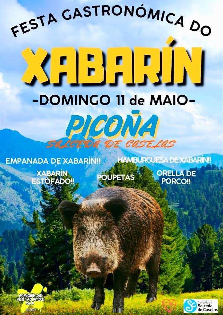 Festa do Xabarín de Picoña (2025) en Salceda de Caselas