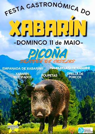 Fechas, información, programa, cartel, imágenes, mapa y ubicación de Festa do Xabarín de Picoña  en  Salceda de Caselas