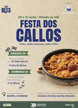 Fechas, información, programa, cartel, imágenes, mapa y ubicación de Festa dos Callos de Budiño (2026)  en  O Porriño