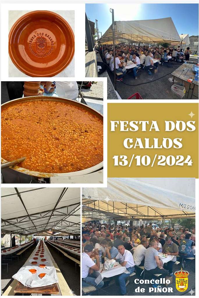 VII Festa dos Callos  en Piñor