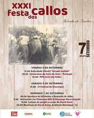 Fechas, información, programa, cartel, imágenes, mapa y ubicación de XXXI Festa dos Callos  en  Salceda de Caselas