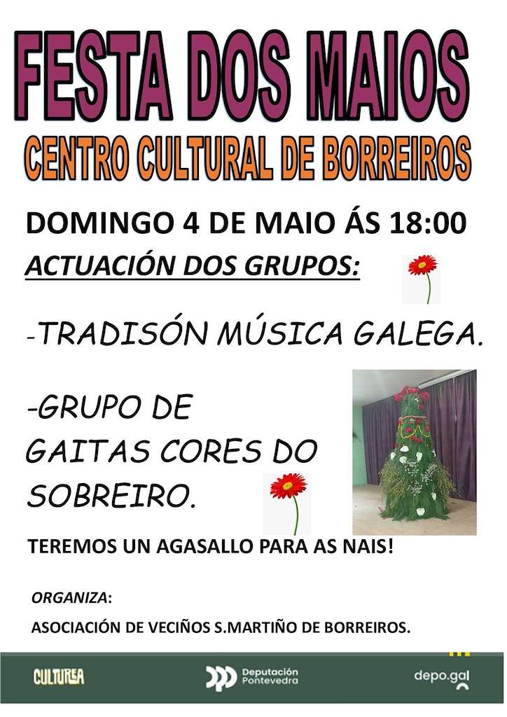 Festa dos Maios de Borreiros en Gondomar