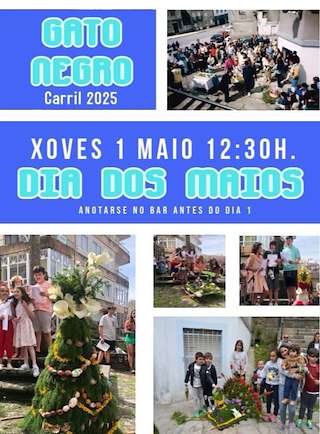 Fechas, información, programa, cartel, imágenes, mapa y ubicación de Festa dos Maios do Gato Negro   en  Vilagarcía de Arousa
