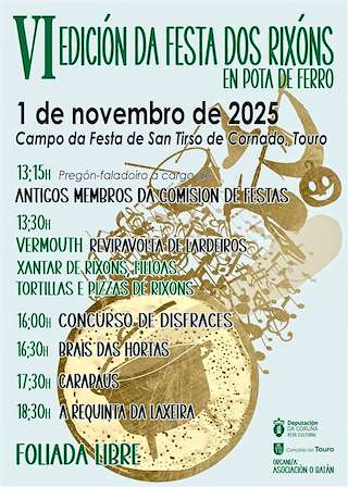 Fechas, información, programa, cartel, imágenes, mapa y ubicación de VI Festa dos Rixóns en Pota de Ferro (2025)  en  Touro