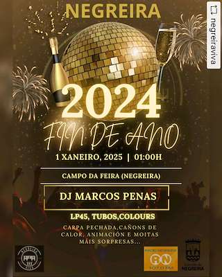 Fechas, información, programa, cartel, imágenes, mapa y ubicación de Festa Fin de Ano  en  Negreira