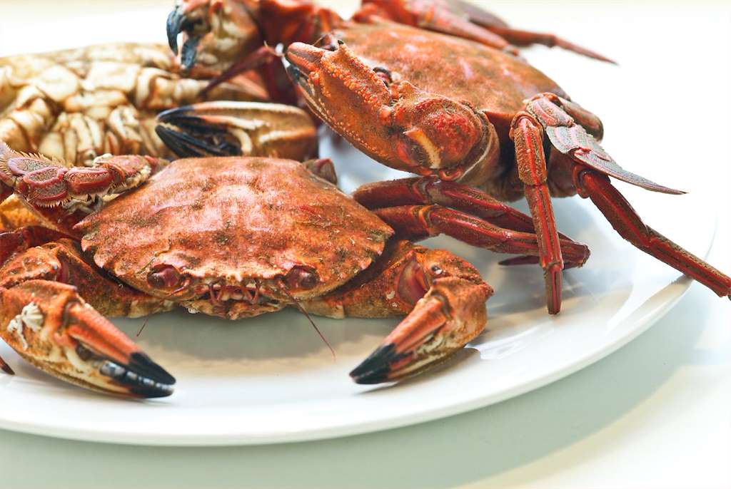 XXI Festa Gastronómica do Mar en A Illa de Arousa