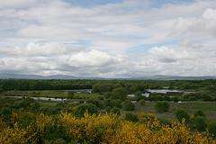 Festas da Virxe do Monte (2026) en Cospeito