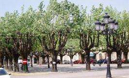 San Roque de Lougares (2026) en Mondariz