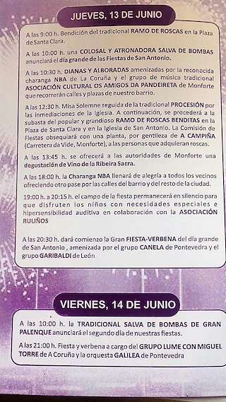 Festas de San Antonio  en Monforte de Lemos