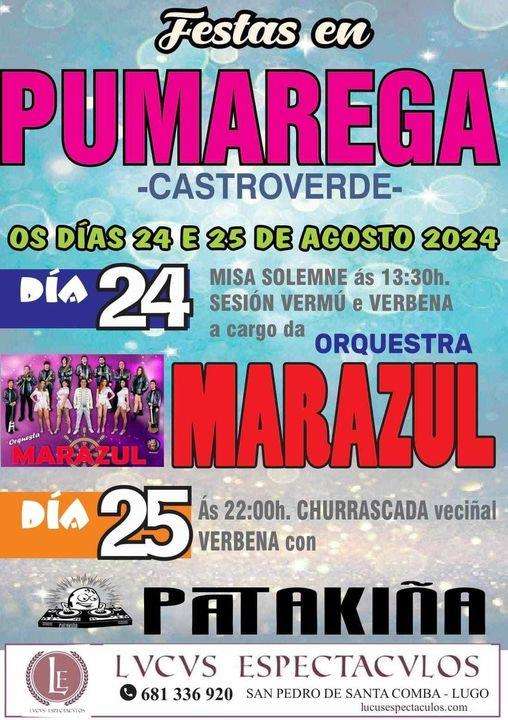 Festas de Pumarega en Castroverde