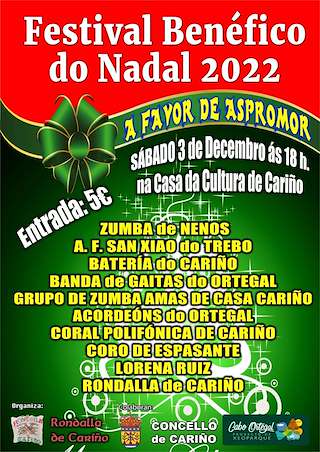 Festival Benéfico do Nadal en Cariño