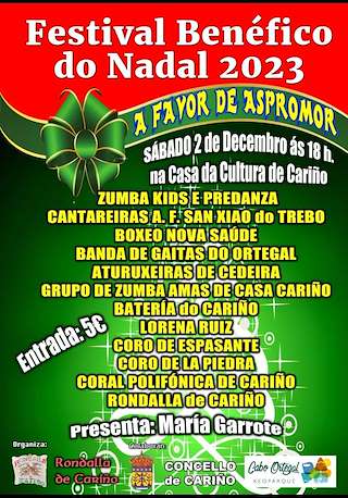 Festival Benéfico do Nadal en Cariño