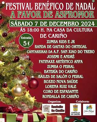 Festival Benéfico de Navidad en Cariño