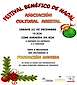 FiestasRelacionadas Festival Benéfico de Navidad en A Rúa