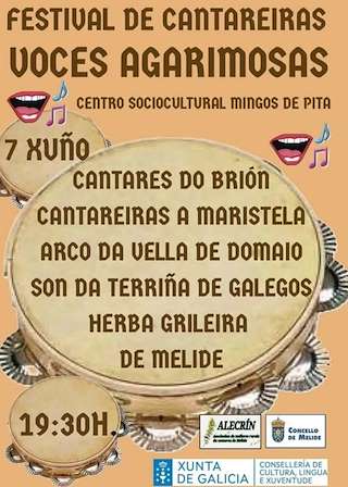 Fechas, información, programa, cartel, imágenes, mapa y ubicación de Festival de Cantareiras  en  Melide