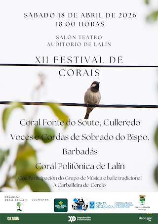 Fechas, información, programa, cartel, imágenes, mapa y ubicación de XII Festival de Corais  (2026) en Lalín