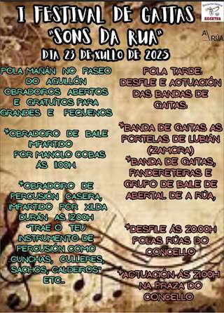 Fechas, información, programa, cartel, imágenes, mapa y ubicación de I Festival de Gaitas Sons da Rúa