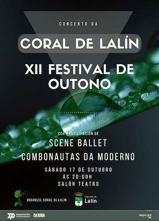 Fechas, información, programa, cartel, imágenes, mapa y ubicación de XII Festival de Outono (2026)  en  Lalín
