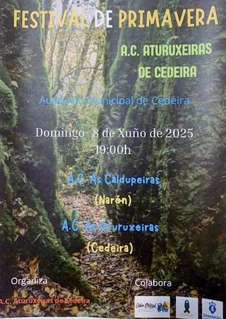 Fechas, información, programa, cartel, imágenes, mapa y ubicación de Festival de Primavera (2026)  en  Cedeira