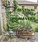 FiestasRelacionadas Festival de Primavera de Montealto en A Coruña