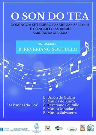 Fechas, información, programa, cartel, imágenes, mapa y ubicación de Festival O Son do Tea  (2026)  en  Ponteareas