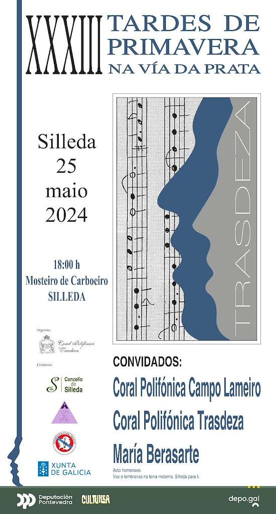 XXXIII Festival Tardes de Primavera en Silleda