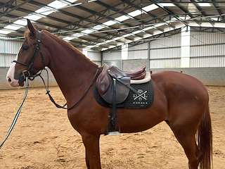 Fechas, información, programa, cartel, imágenes, mapa y ubicación de Finca Os Chans - DL Horses  en  Arteixo