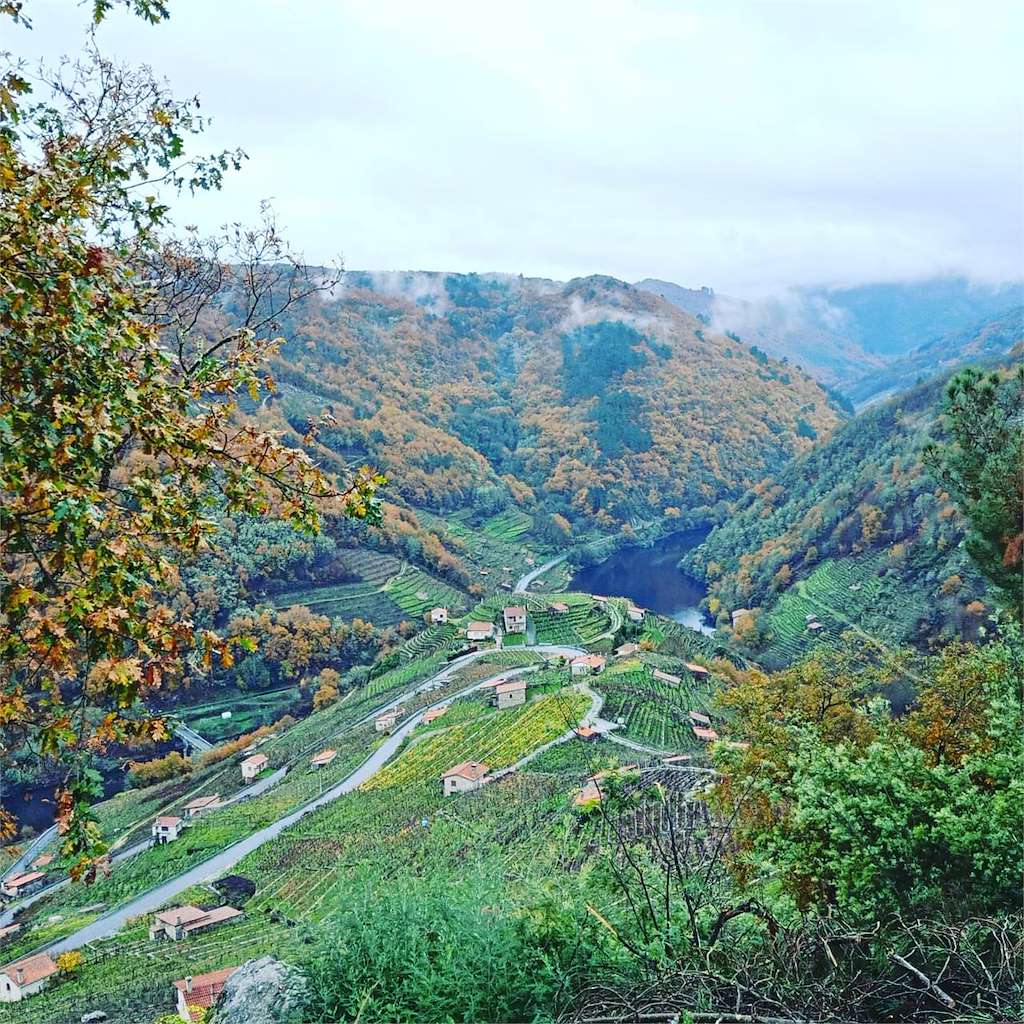 Finca Scintilla en Chantada