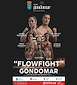 FiestasRelacionadas Flowfight II - Velada de Boxeo en Gondomar