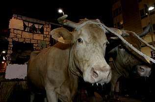 Folión de Carros en Chantada