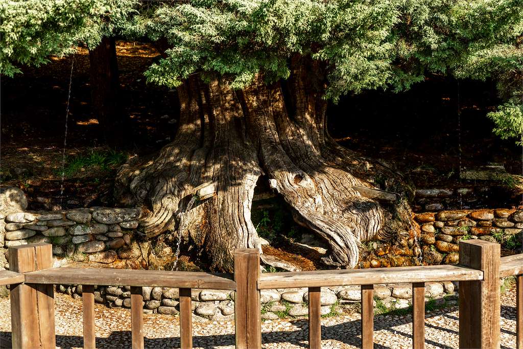 Fonte do Vieiro en Bande