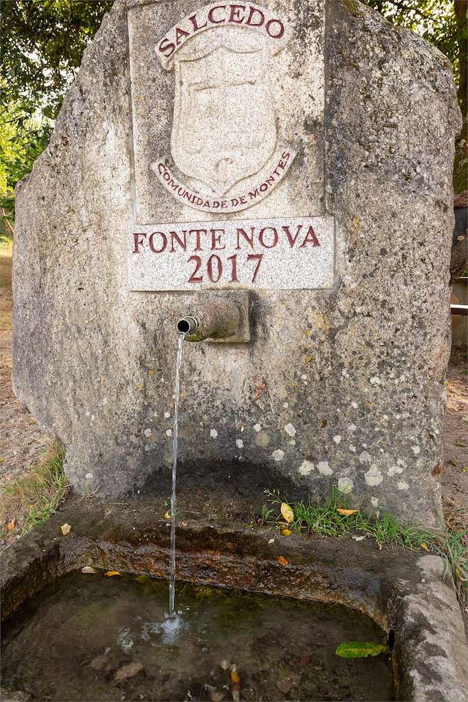Fonte Nova en Pontevedra