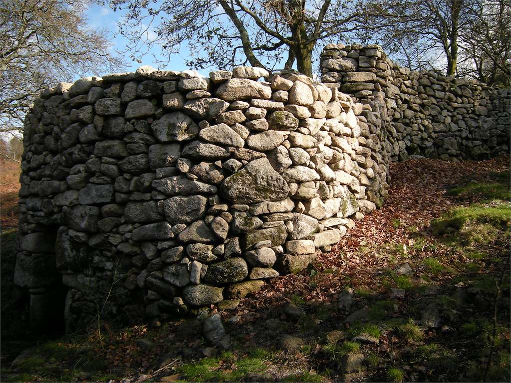 Foxo do Lobo de Paraños en Cerdedo-Cotobade