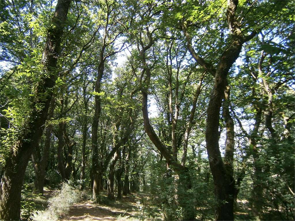 Fraga de Catasós en Lalín