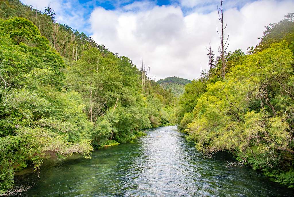 Fragas do Eume en A Capela