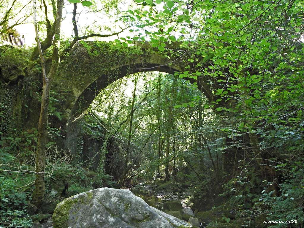 Fragas do Eume en A Capela