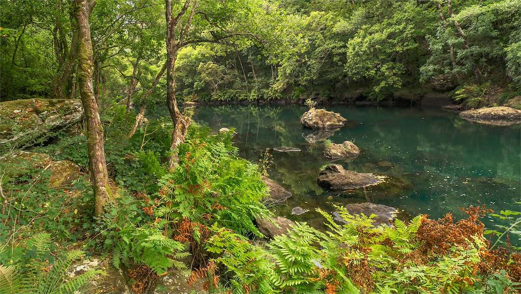 Fragas do Eume en A Capela