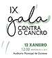 FiestasRelacionadas X Gala Contra o Cancro (1) en Ourense