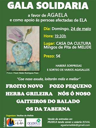 Fechas, información, programa, cartel, imágenes, mapa y ubicación de Gala Solidaria a favor de Agaela (2026)  en  Melide