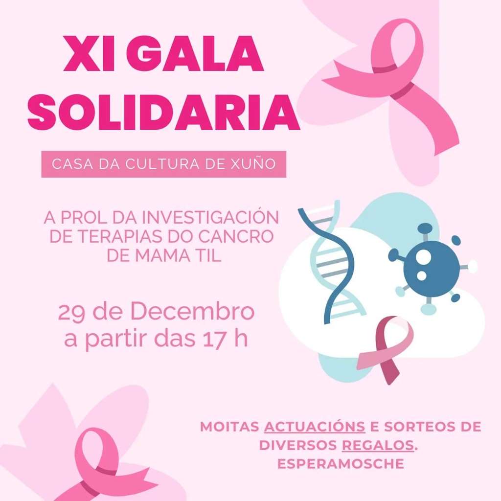 X Gala Solidaria en Porto do Son