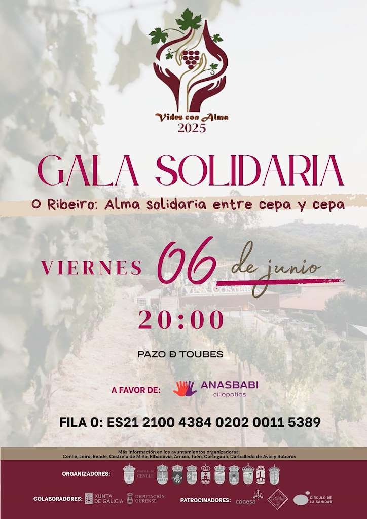 Gala Solidaria Vides con Alma (2025) en Cenlle