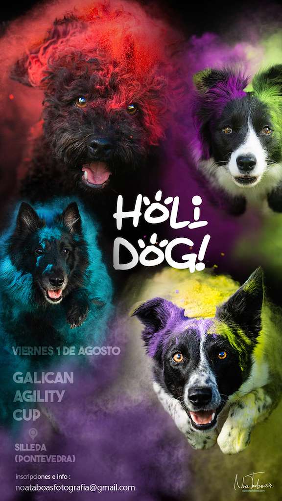 Galican Agility Cup en Silleda