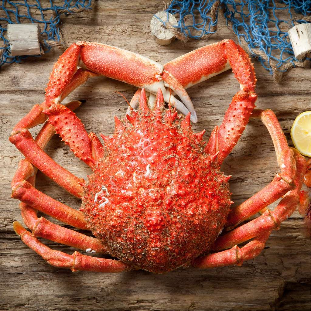 Gastronomía Gallega de Calidad