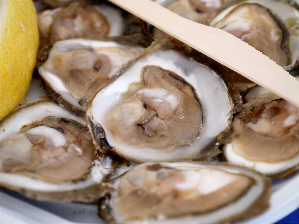 Gastronomía Gallega de Calidad